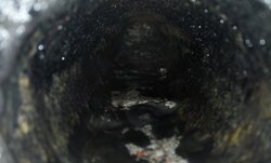 Пора промывать ;-)